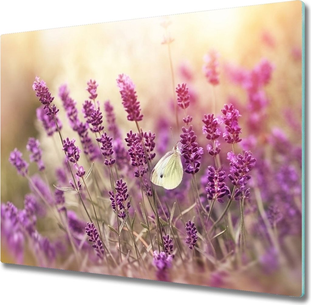 Glas Herdabdeckplatte 60x52 cm Spritzschutz Glasabdeckplatte Schneidebrett Lavendel