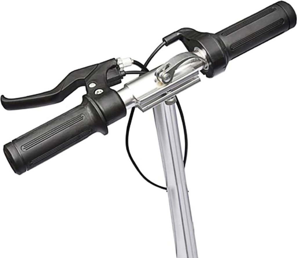 vidaXL E-Scooter 120 W Schwarz