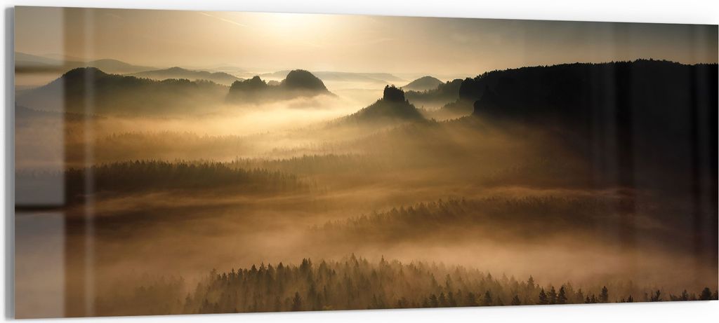 DEQORI Glasbild Acryl 125x50 cm 'Goldener Waldhauch' Wandbild Bild modern Deko