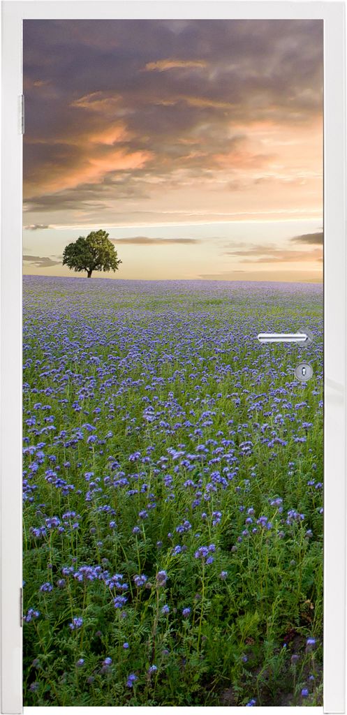 MuchoWow Türtapete Selbstklebende Türfolie Sonnenuntergang - Blumen - Farben 95x235 cm Türposter Türaufkleber Klebefolie Türklebefolie - XXL...