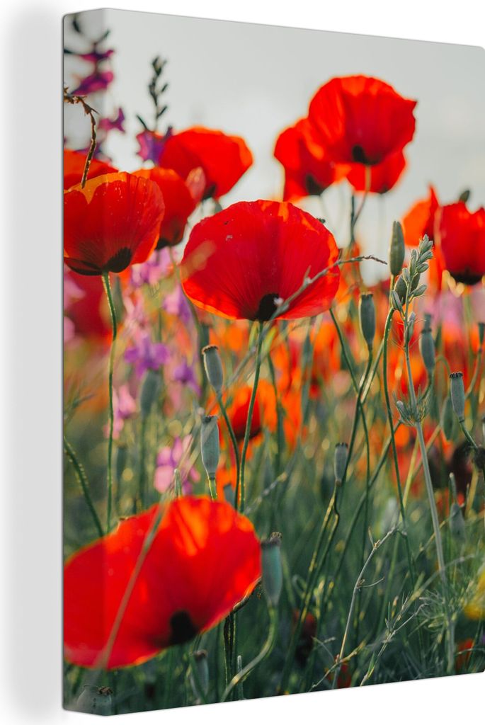 OneMillionCanvasses - Leinwandbilder - Bild auf Leinwand Wandbild Leinwandbild Mohn - Blumen - Rot - Lila - Wiese, 60x80 cm, Kunstdruck Wandkunst...