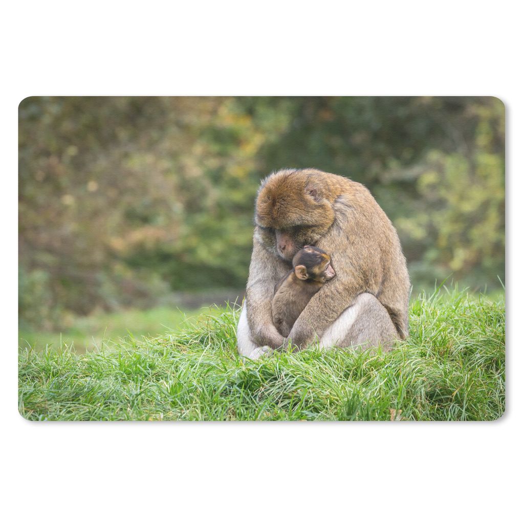 MuchoWow Schreibtischunterlage Affe - Jung - Gras 60x40 cm - XXL Mauspad - Großes Mauspad