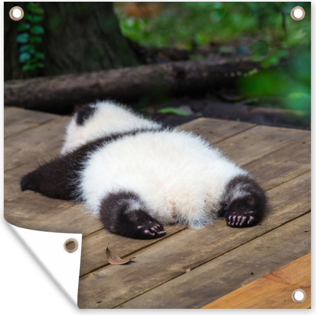 MuchoWow 50x50 cm Outdoor-Poster Gartendeko Sichtschutz Garten Poster für den Garten Tier - Panda - Schlafend