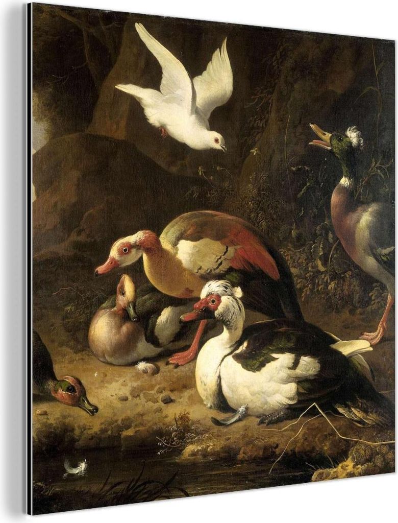 MuchoWow Wanddekoration Metall Metallbild Wandkunst 50x50 cm Enten - Gemälde von Melchior d'Hondecoeter MuchoWow Aluminium Gemälde - Alubild - In...