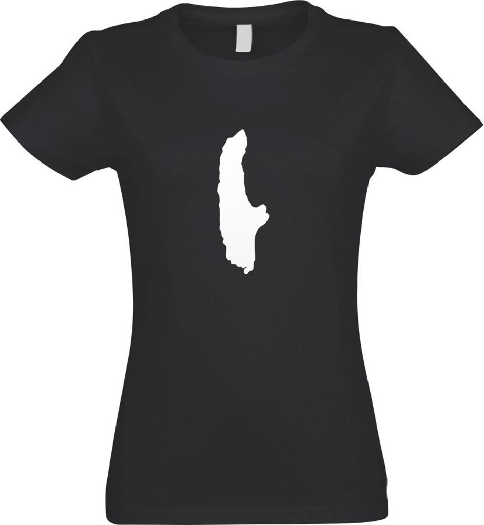 Kiwistar - T-Shirt tailliert - Damen - Graphit - Ammersee - Deutschland - See - mit Motiv Bedruckt - Funshirt Design - Sport - Freizeit - Damen - M