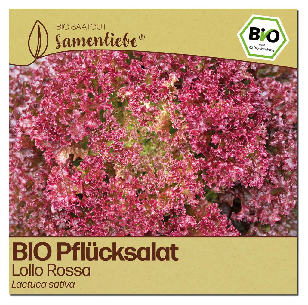 Samenliebe  Salat Samen | Lollo Rossa - rot & stark Produktbild 