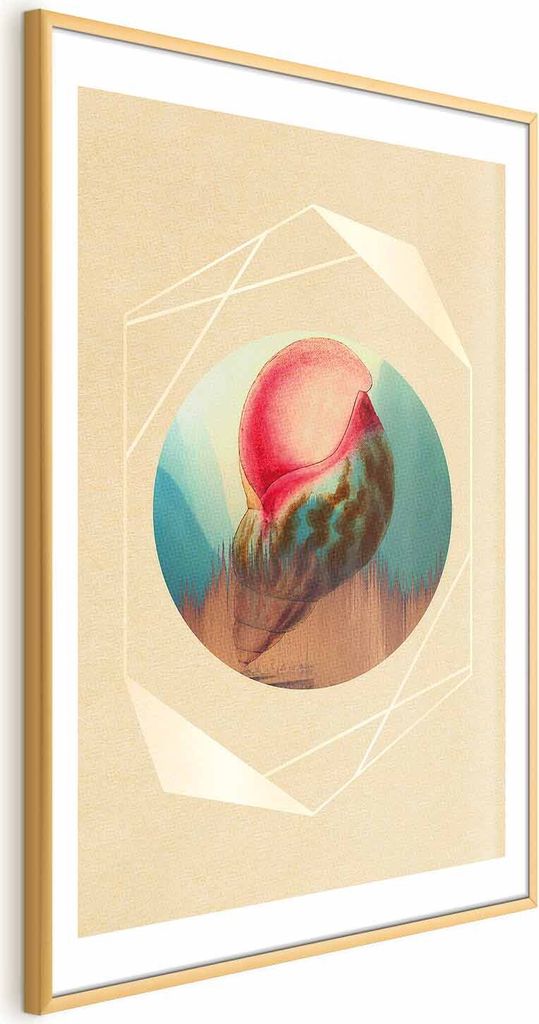 Posterpapier Poster - Shell 40x60 cm Abstrakt n-A-0849-ao-a