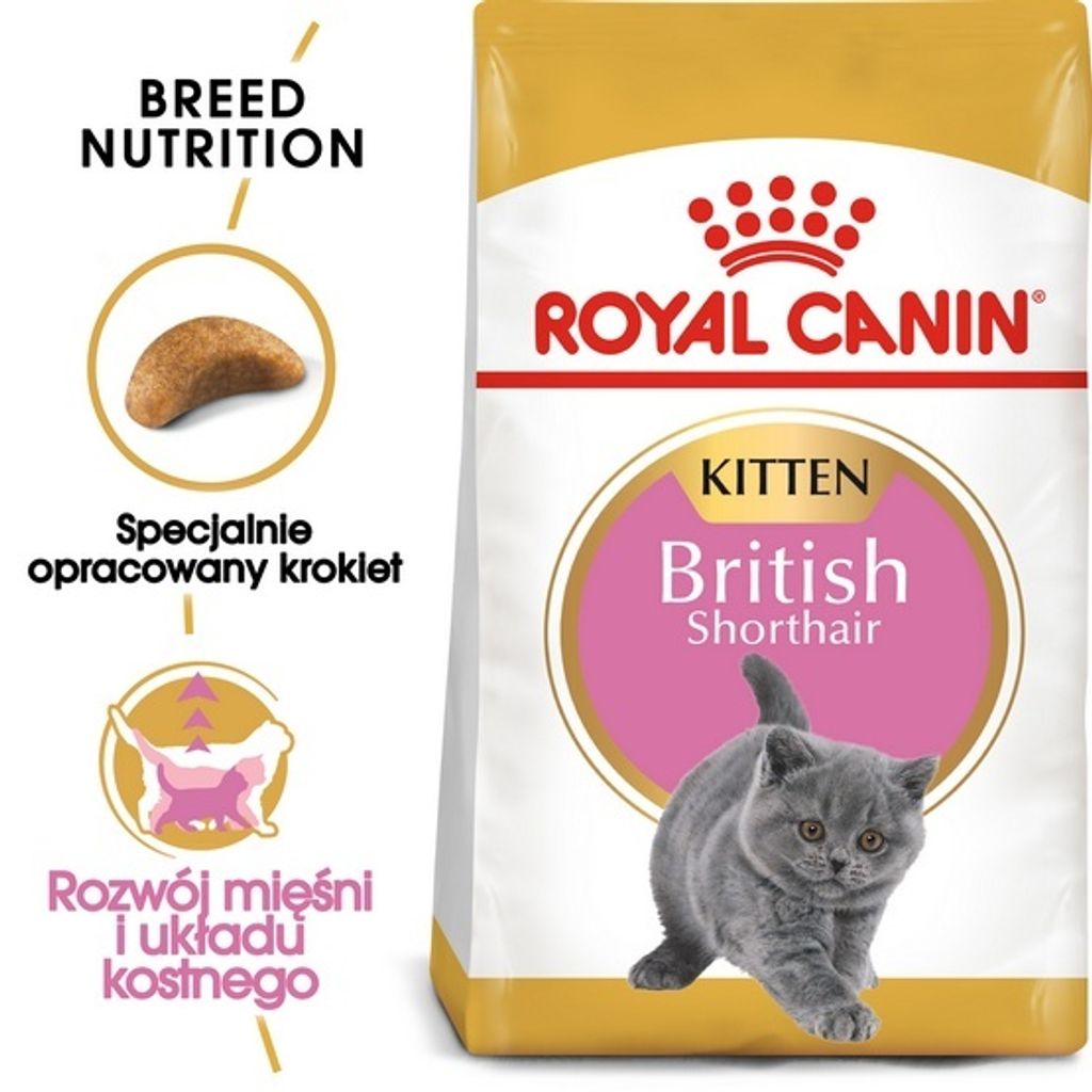 Royal Canin Feline British Shorthair Kitten - 2 kg Zdjęcie produktu