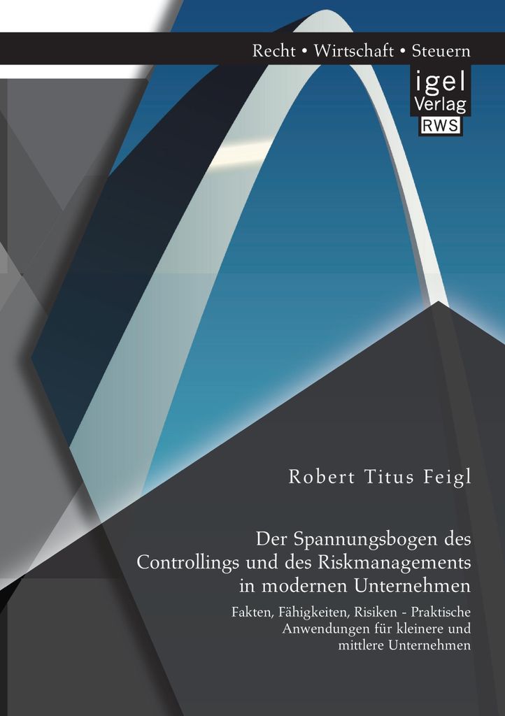 Der Spannungsbogen des Controllings und des Riskmanagements in modernen Unternehmen: Fakten, Fähigkeiten, Risiken - Praktische Anwendungen für kl...