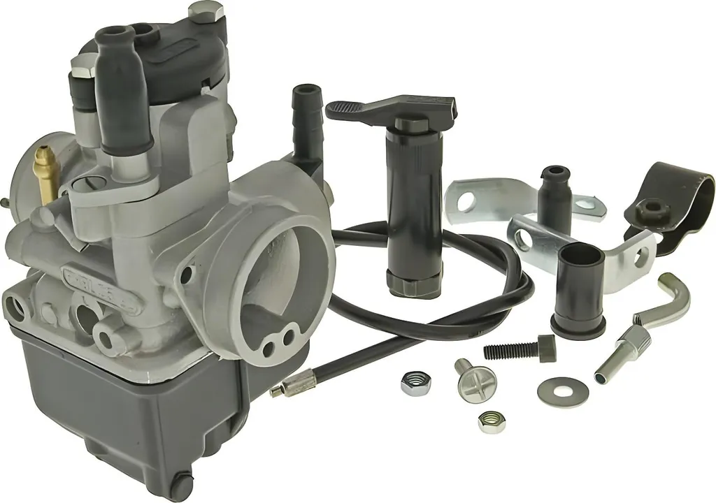 Kit Carburateur Malossi Dellorto PHBL 25 BD pour Piaggio Runner 125-180