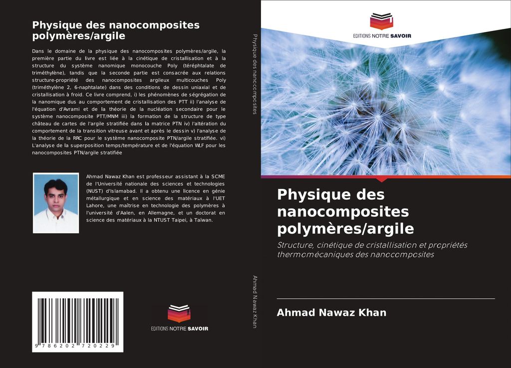 Physique des nanocomposites polymères/argile