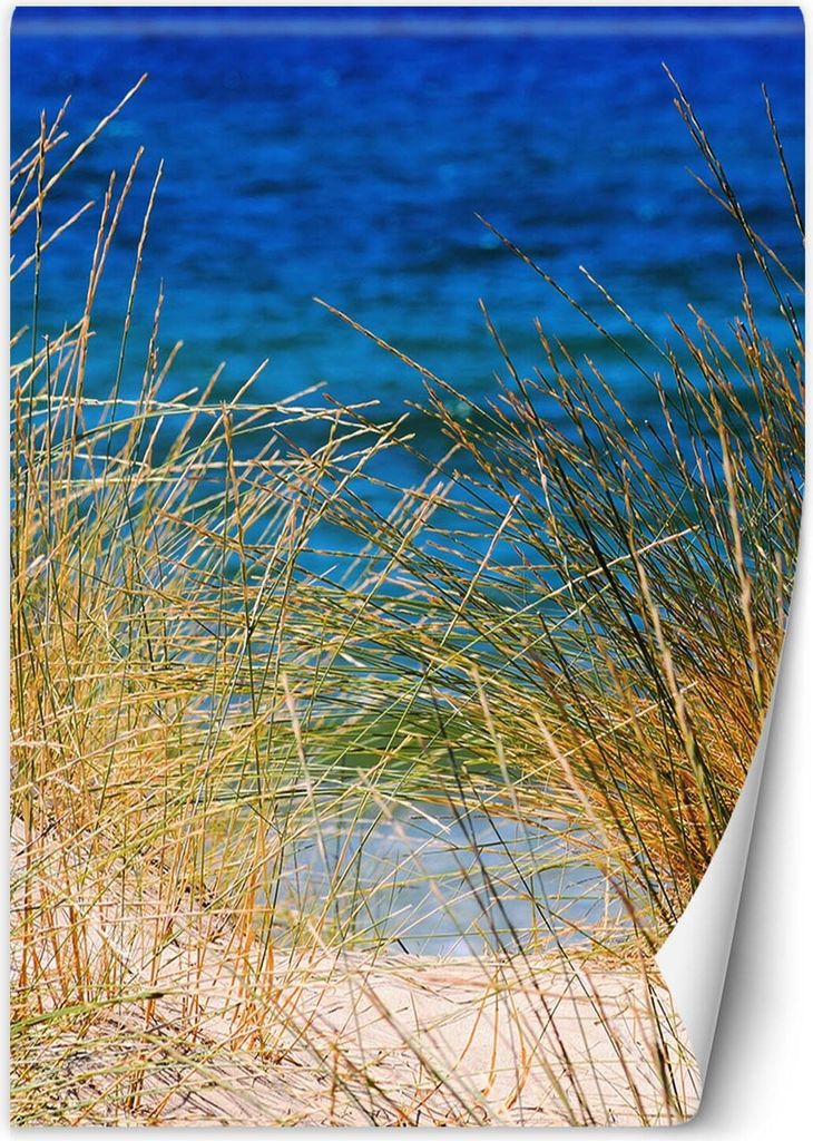 Vlies fototapete Hohe Gräser am Meer 150x210 cm Feeby Gelb inkl. Kleber einfache Montage