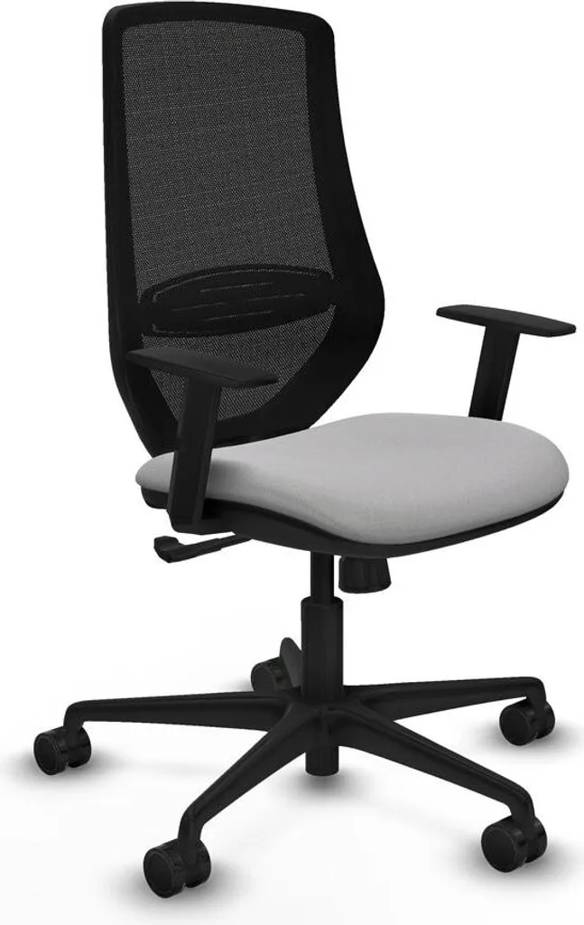 Chaise de bureau contre le mal de dos D036N0W gris clair robuste
