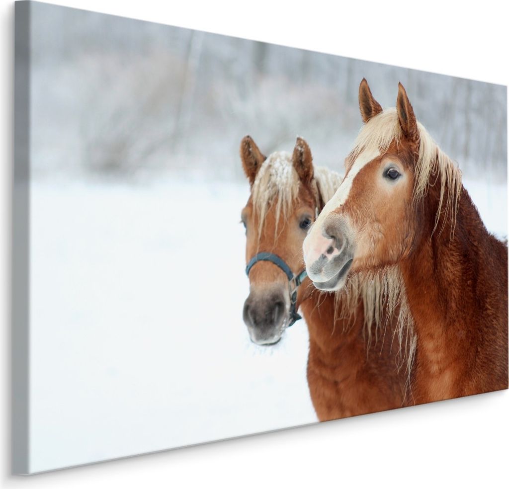 Fabelhafte Canvas LEINWAND BILDER 40x30 cm XXL Kunstdruck Tiere Pferde Natur Schnee