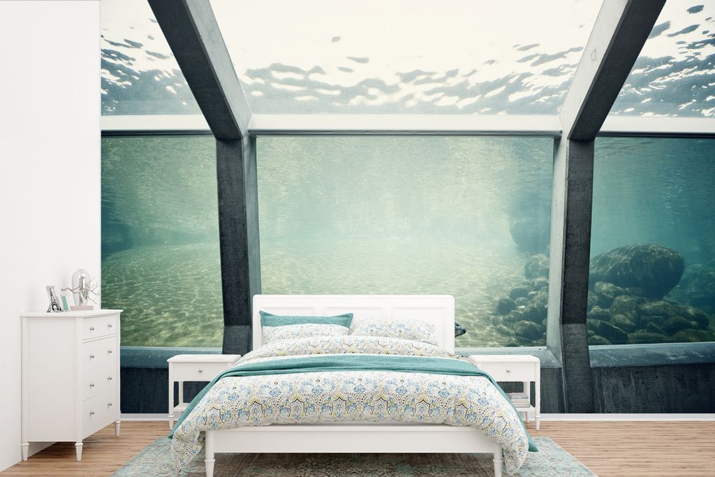MuchoWow Fototapete für Wohnzimmer oder Schlafzimmer Wandtapete Vinyl Motivtapete Robbe im Aquarium - 330x220 cm - Fototapeten