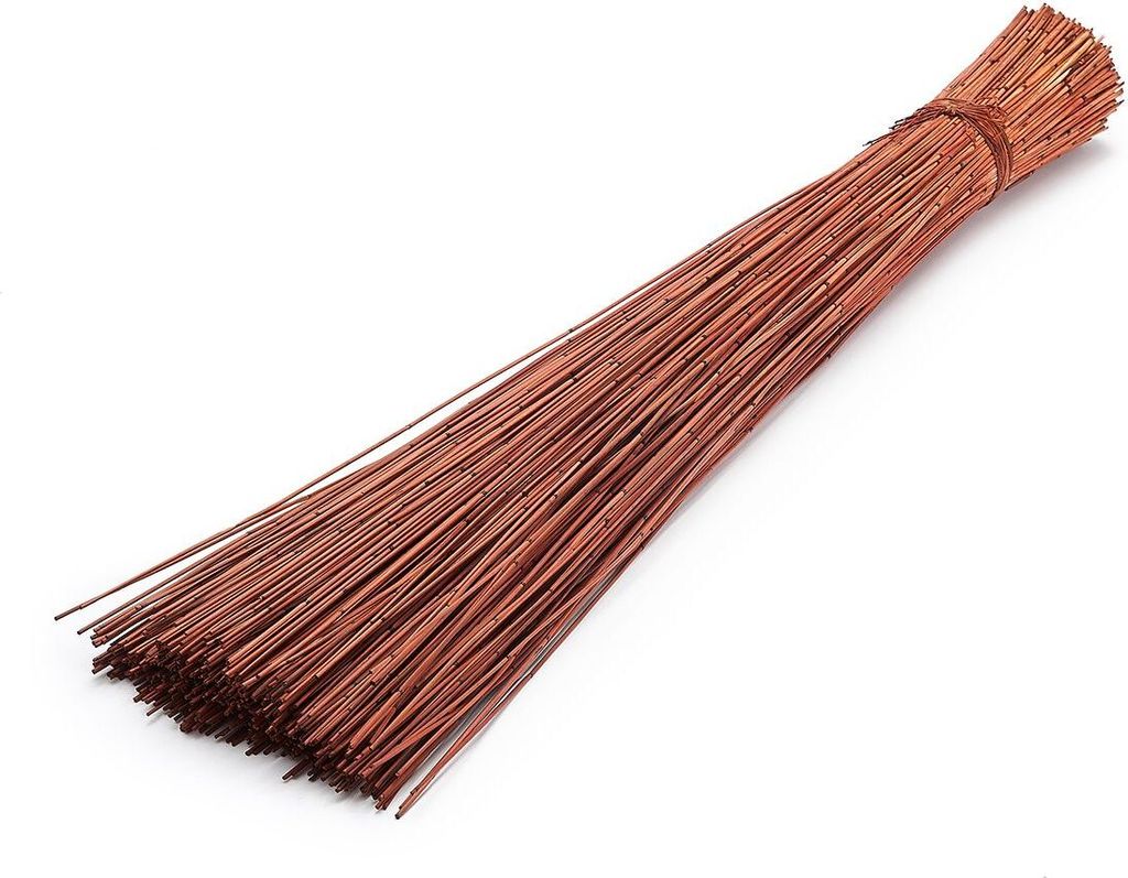 Vleireed 75cm 1kg in 7 Farben zur Auswahl | Restio giganteus, Farbe:Braun