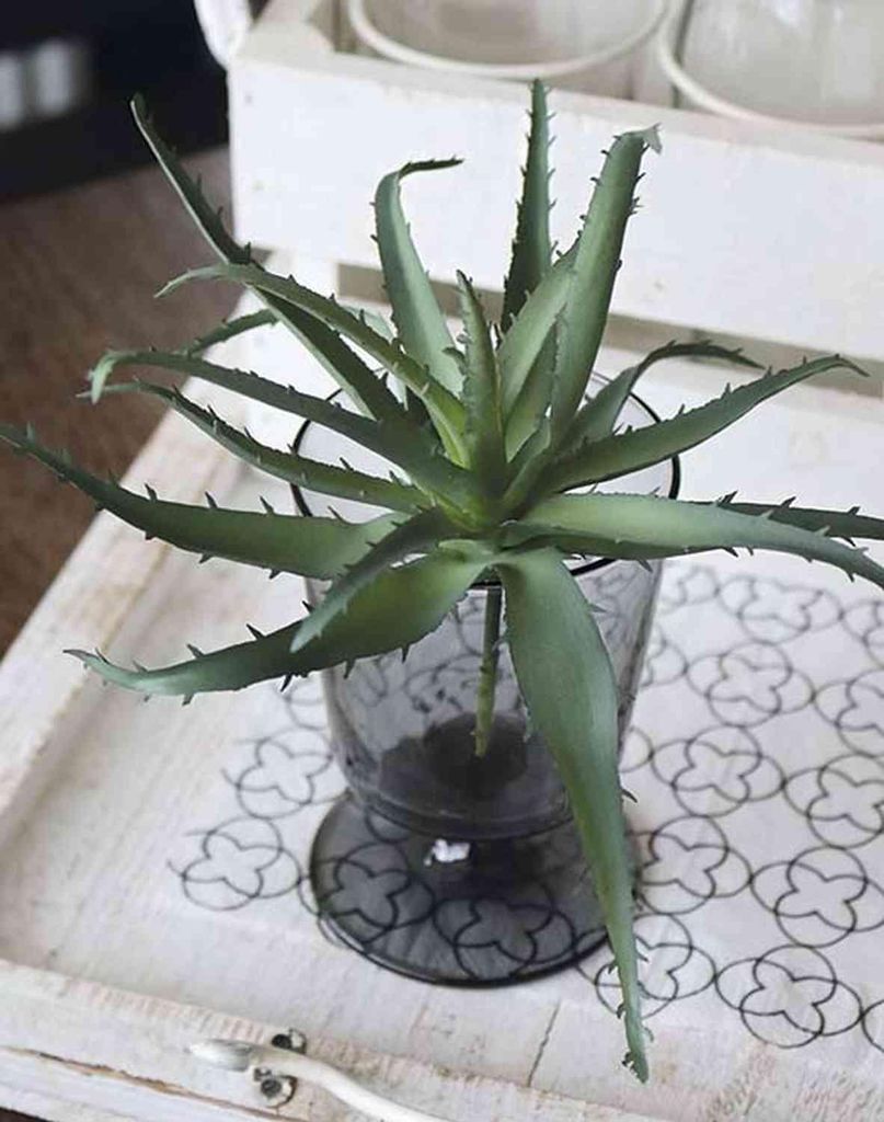 artplants.de Plastik Aloe Vera Whitney, Steckstab, dunkelgrün, 18cm - Künstliche Aloe