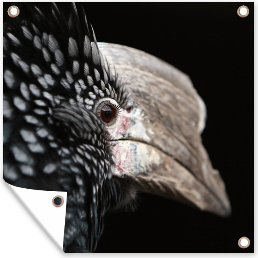 MuchoWow 50x50 cm Outdoor-Poster Gartendeko Sichtschutz Garten Poster für den Garten Vogel - Schnabel - Federn