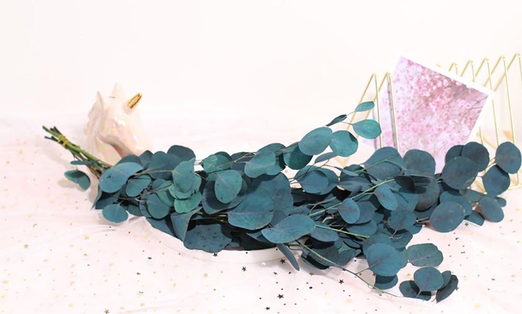 Eucalyptus Fleurs Séchées Durabilité Eternelle Bouquet de Image du produit 