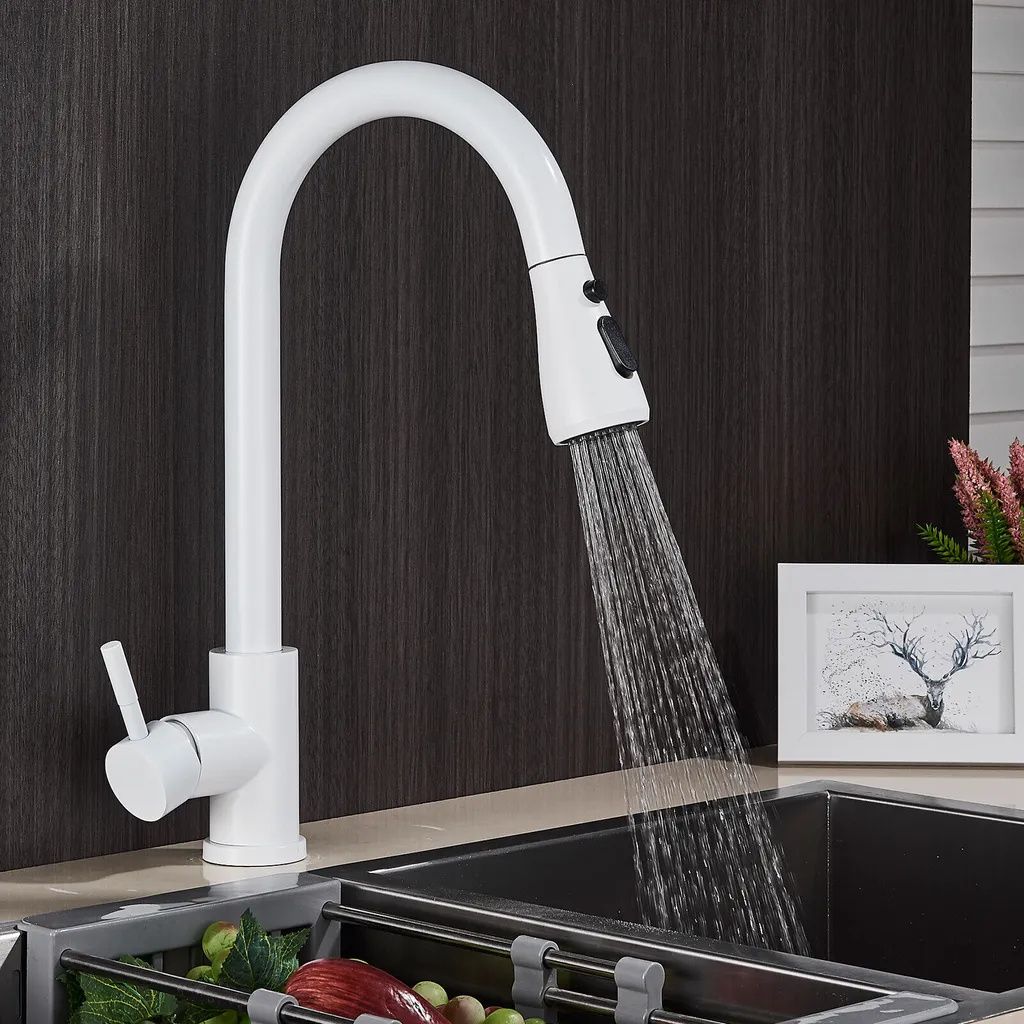A white kitchen faucet with a pull-out spray head is shown in use, with water running into a dark sink. A framed picture and some decorative plants are visible in the background.