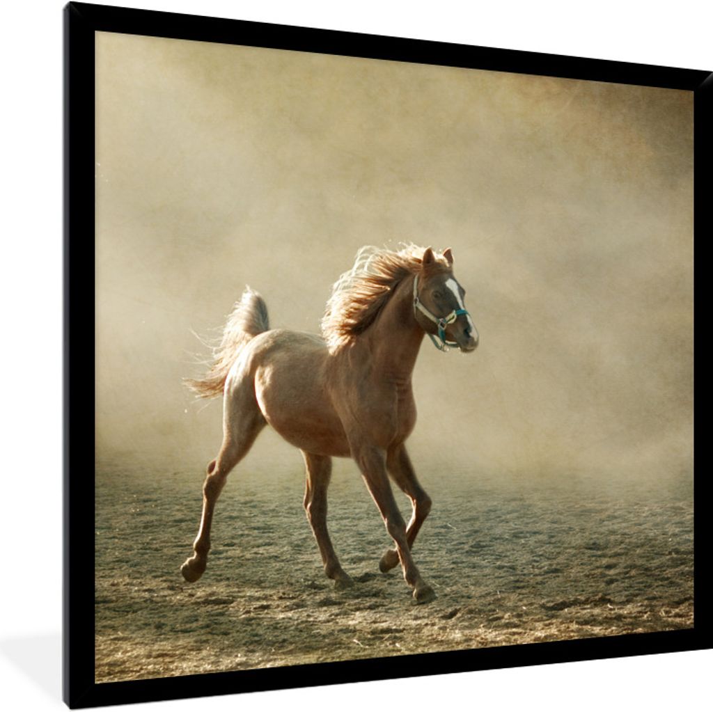 MuchoWow Gerahmtes Poster Pferd - Sand - Nebel 40x40 cm - Poster mit Schwarzem Bilderrahmen Wandposter Rahmen Foto Bilder - Mit Rahmen - Wanddeko...