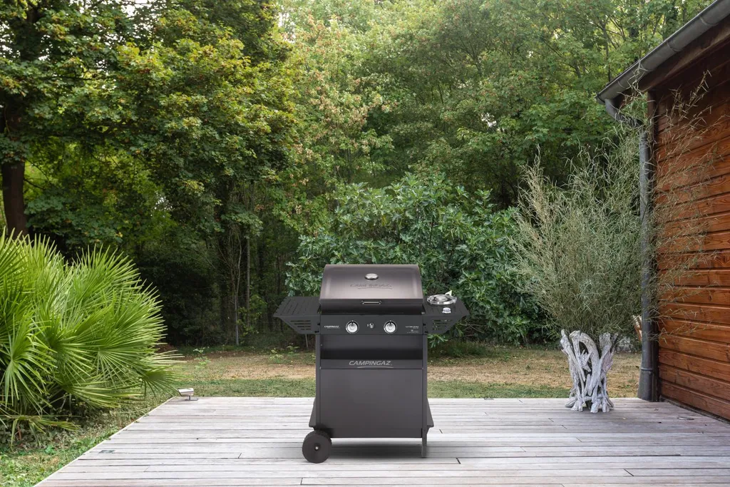 Barbecue à gaz de jardin Campingaz Xpert 200 LS Plus pour repas d'été - 2