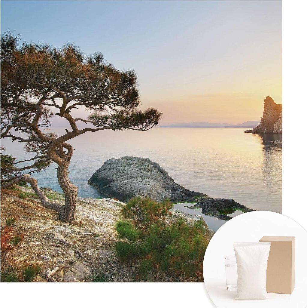 Fototapete - Wandbilder für Wohnzimmer - 250x250 cm - Dekorative Wandfolie - Modernes Design für Wanddekoration - Tapeten für Innenräume - Frie...