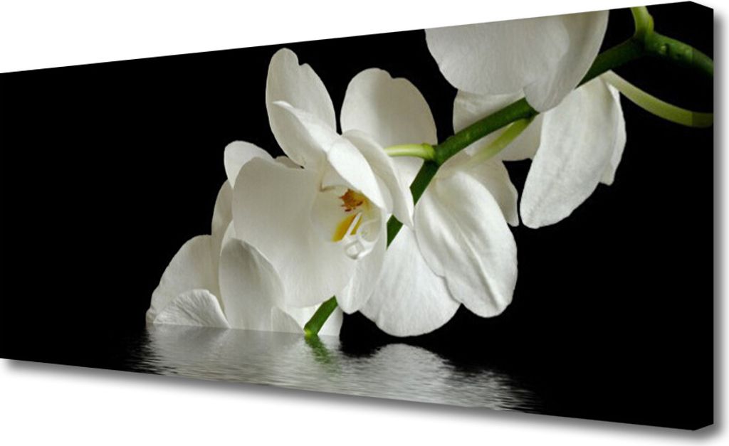Tulup Leinwand-Bilder 125x50 Wandbild Canvas Kunstdruck Blumen Pflanzen