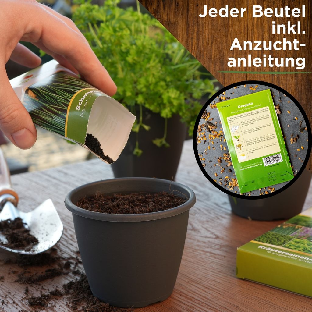 Kräutersamen Set - 10 Sorten Samen - Saatgut Sortiment - Produktbild 5