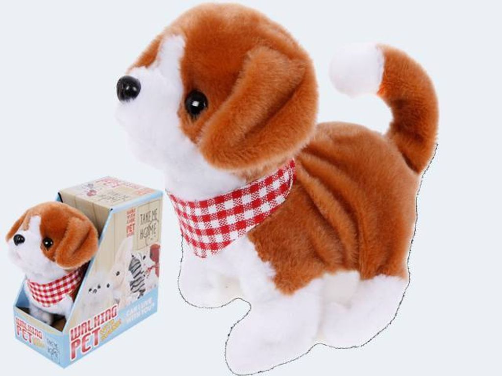 Take Me Home Loophond