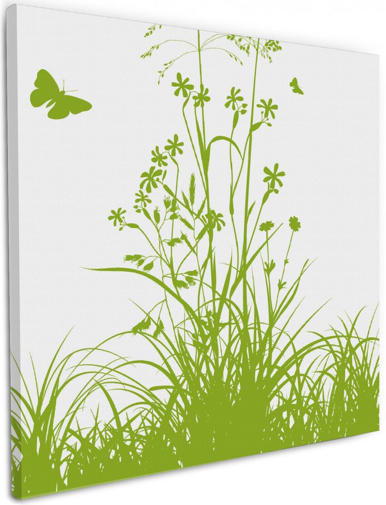 Wallario Premium Leinwandbild Grüne Sommerwiese in Größe 50 x 50 cm