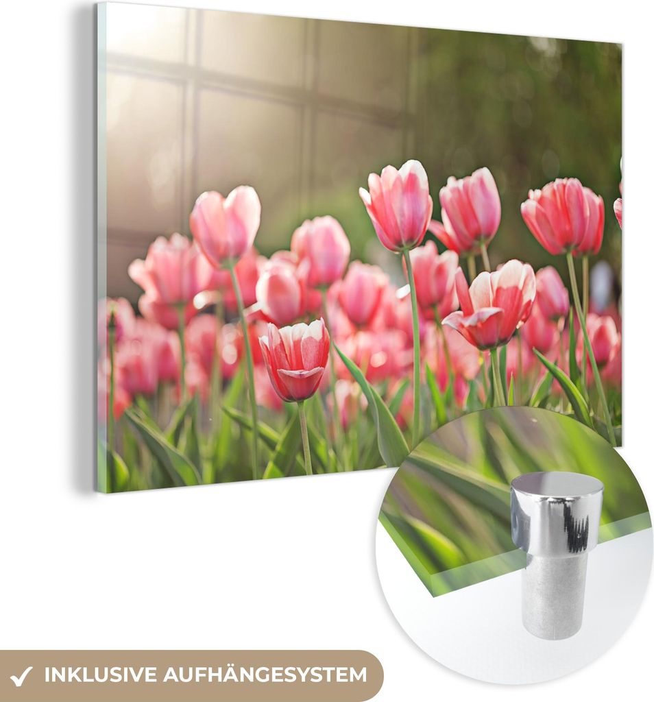MuchoWow Glasbilder - Bilder auf Wandbild - Foto auf Glas Tulpen - Sonne - Frühling 120x80 cm Wanddekoration aus Glas - Acrylglasbild - Acrylbilde...