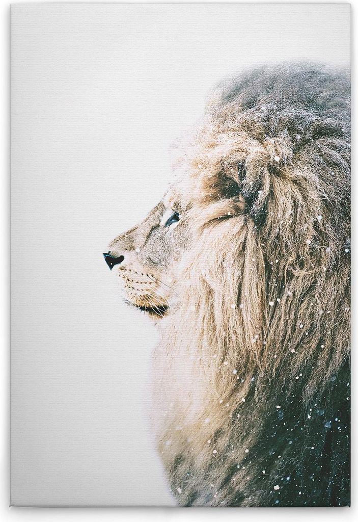 TADESSI Leinwandbild Tiere Löwe - Wandbild 40 x 60 cm - Kunstdruck auf Leinwand in Weiß Creme - M1-No.51092