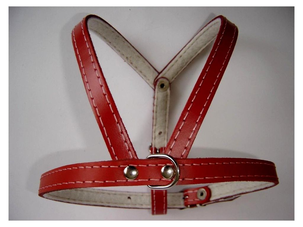 Hunde Geschirr aus Echtleder, Brustumfang 31-39 cm, ROT