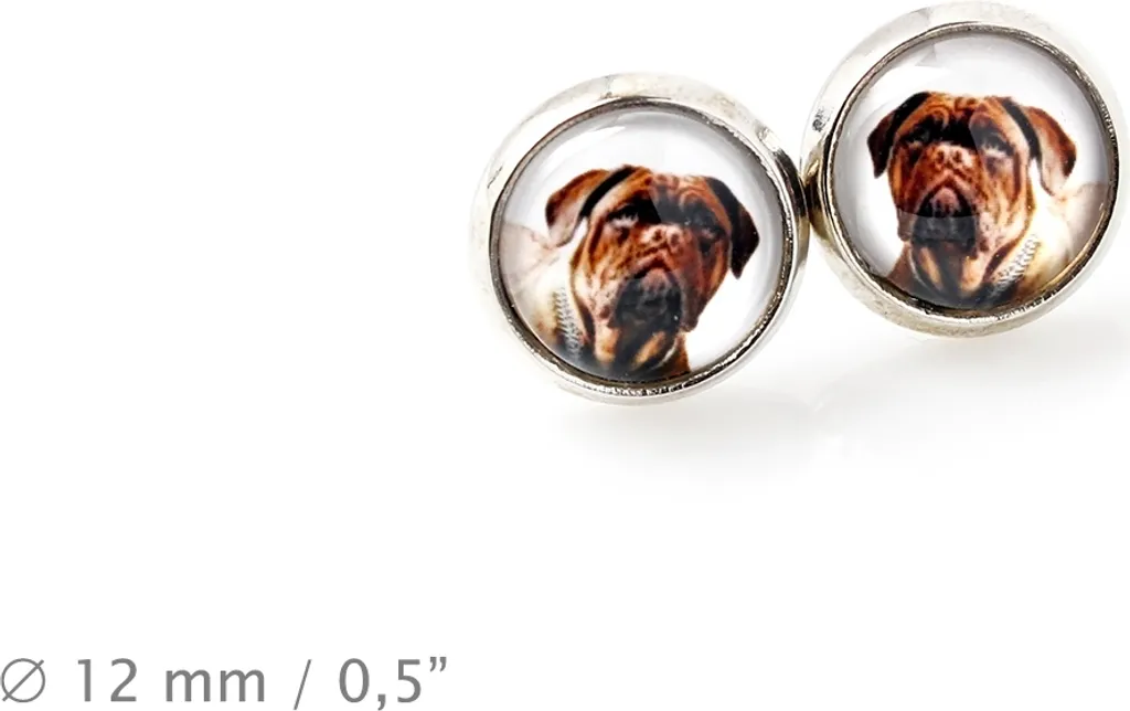 Kit Gioielli Art-Dog Dogue de Bordeaux | Acciaio e Vetro Premium