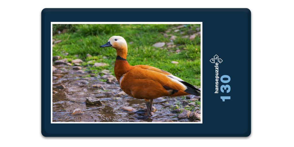 hansepuzzle 19112 - Rostgans Puzzle, 130 Teile, Tierwelt, 28,7 x 20,0cm mit hochwertiger Aufbewahrung, Kartonbox und wiederverschließbarem Beutel