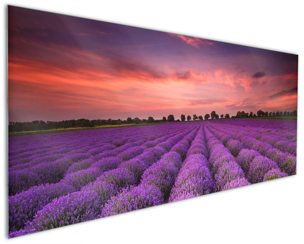 Wallario Küchenrückwand aus Glas, Größe: 125 x 50 cm, Motiv: Lavendelfeld unter rotem Himmel | Spritzschutz | abwischbar | pflegeleicht | in