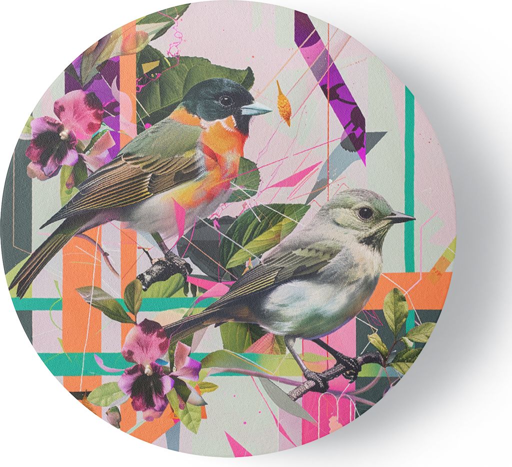 Leinwandbild rund Ptaki Abstrakcja Kolorowe 40x40 Feeby Bunt bild für die wand bereit zum aufhängen