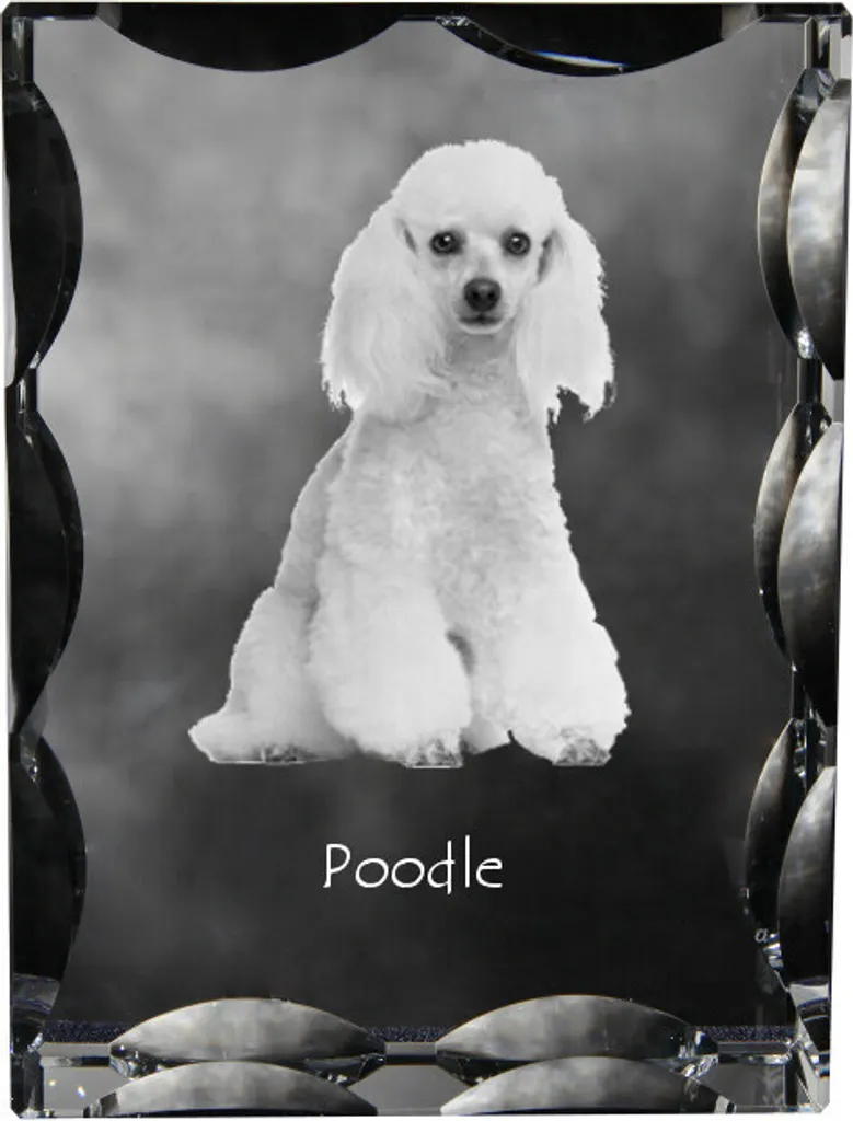 Acquista Cristallo Barboncino Art-Dog | Statuetta Vetro Foto Cane