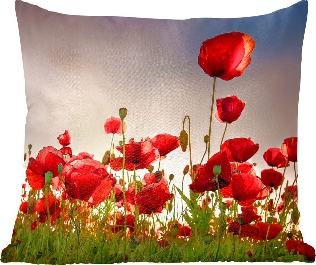 MuchoWow Zierkissen Sofakissen Wohnzimmer Dekokissen 45x45 cm Bunter Himmel über einem Mohnblumenfeld in Dänemark - Schlafpolster - Polster fü...