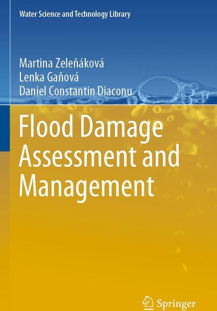 Flood Damage Assessment and Management