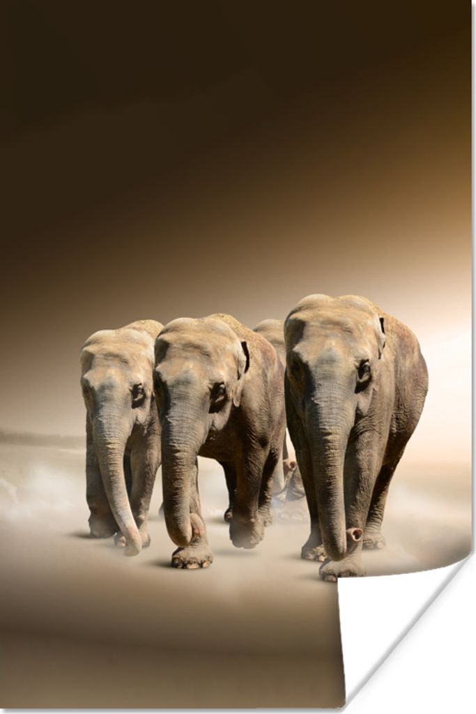 MuchoWow Poster Elefanten - Tiere - Nebel 60x90 cm - Wanddekoration
