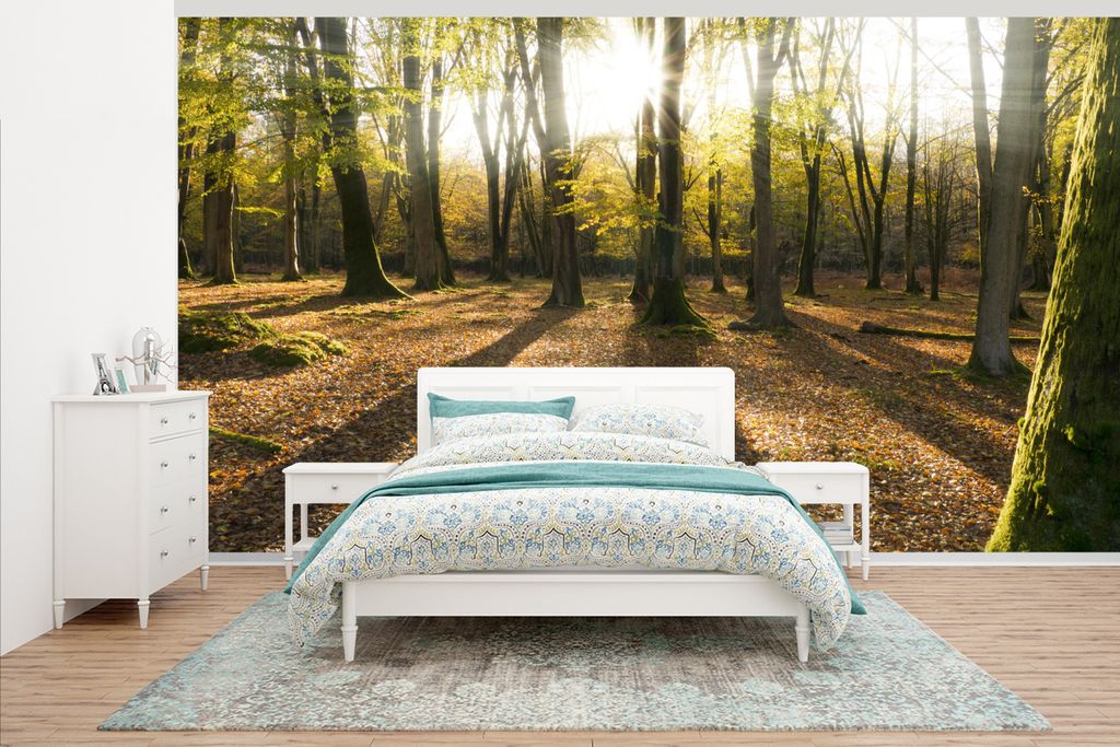 MuchoWow Fototapete für Wohnzimmer oder Schlafzimmer Wandtapete Vinyl Motivtapete Sonnenstrahlen, die durch die Wälder des New Forest National ...