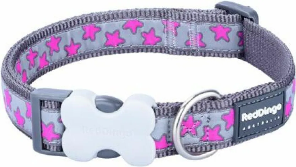 Collare RD 20 mm x 30-47 cm - Stelle rosa caldo su grigio