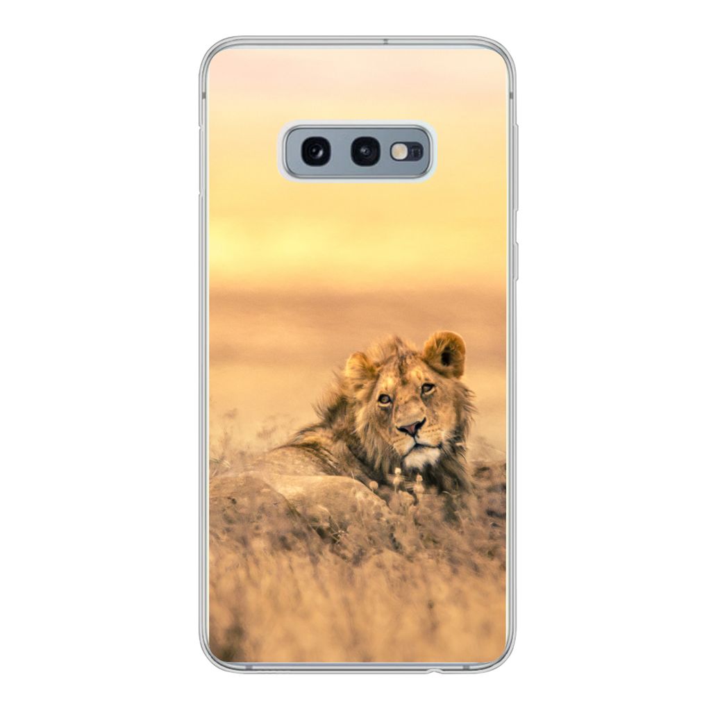 MuchoWow Handyhülle Schutzhülle Hülle für Samsung Galaxy S10e Löwen - Gras - Himmel Silikon Softcase Handy Hülle - Handy