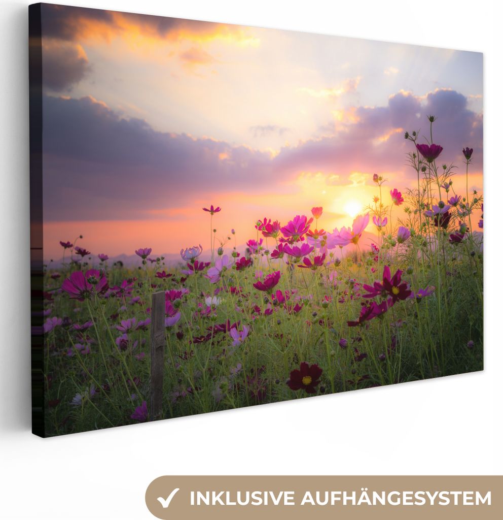 OneMillionCanvasses - Leinwandbilder - 150x100 cm, Blumen - Rosa - Sonnenuntergang - Natur - Wiese - Horizont, Wandbilder Kunstdruck Wanddekoration