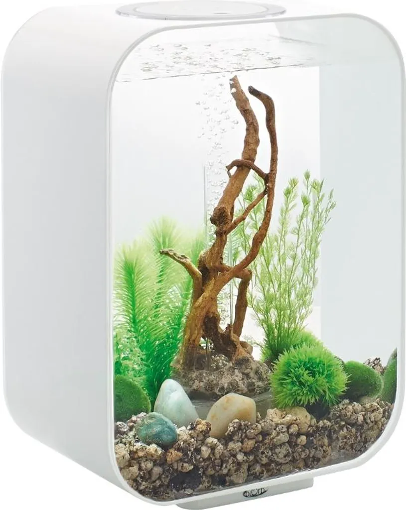 Aquarium biOrb LIFE 15 LED White Oase - Petit bac design blanc de 15L