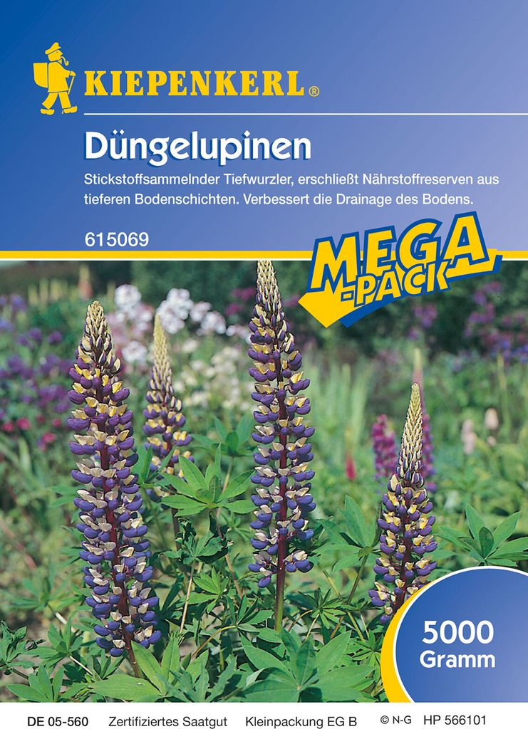 Kiepenkerl Gründüngersaat Düngelupine Lupinus angustifolius für 250 m² 5 kg