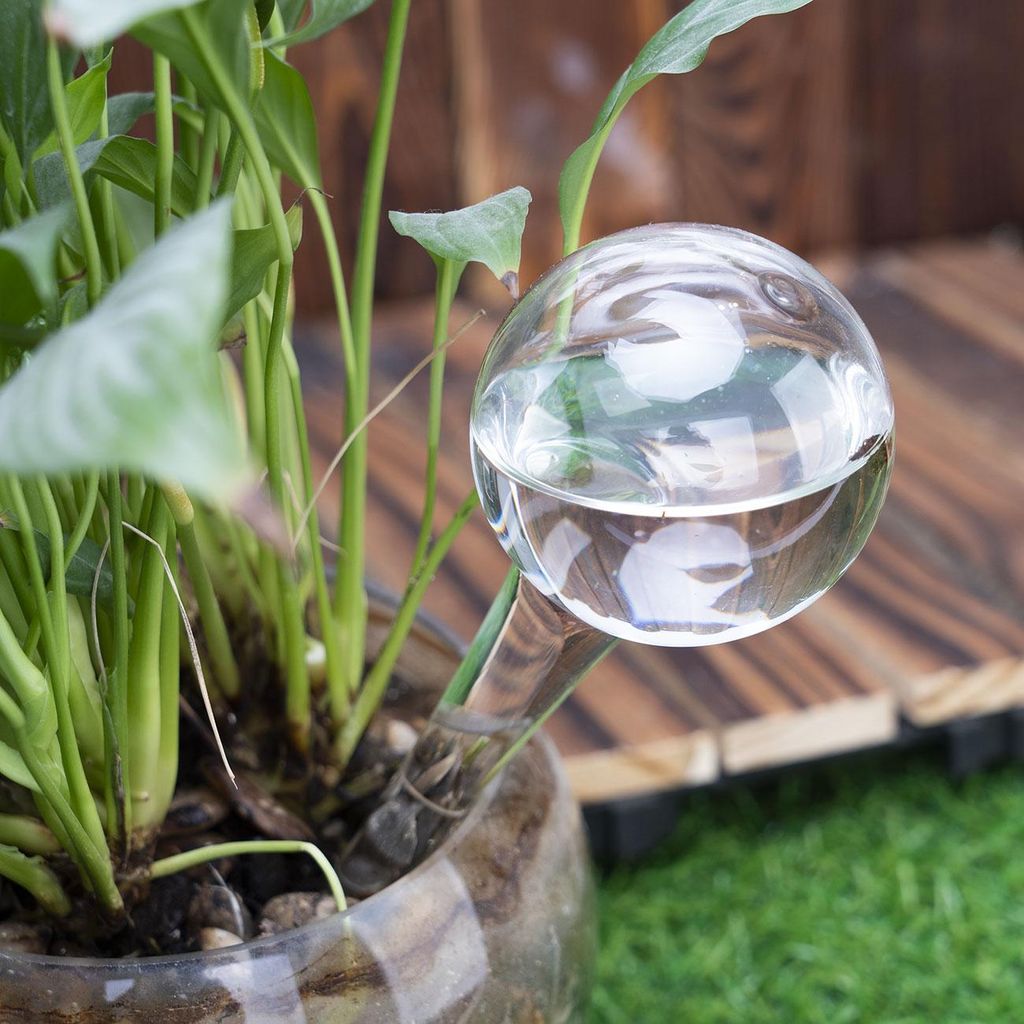 4er-Set Wassersparende Pflanzen Bewässerungskugeln aus Produktbild 