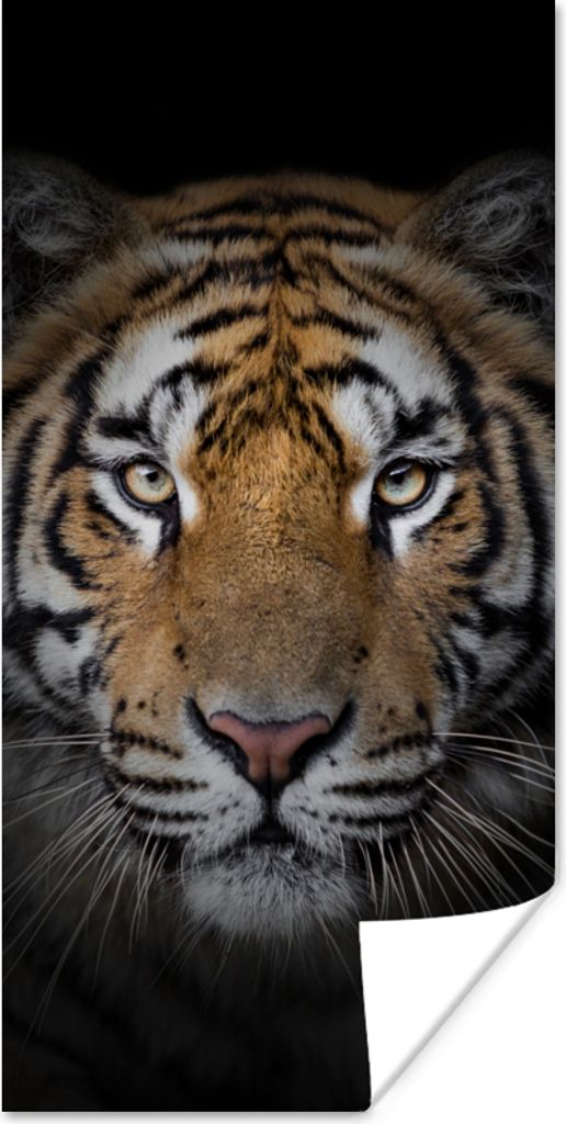 MuchoWow Poster Tiger - Wildtiere - Porträt - Schwarz - Tiere 75x150 cm - Dekoration für die Wände
